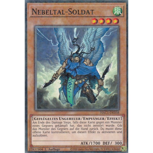 Nebeltal-Soldat HAC1-DE058