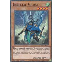 Nebeltal-Soldat HAC1-DE058
