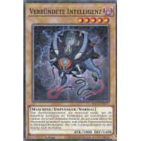 Verbündete Intelligenz HAC1-DE077