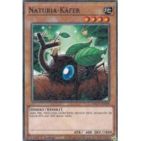Naturia-Käfer HAC1-DE093