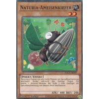 Naturia-Ameisenkiefer HAC1-DE097