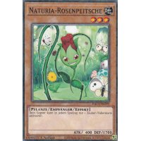 Naturia-Rosenpeitsche HAC1-DE099