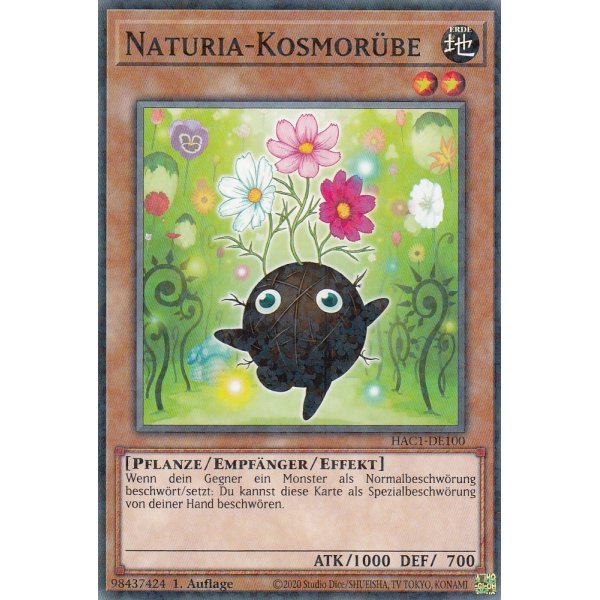 Naturia-Kosmor&uuml;be HAC1-DE100