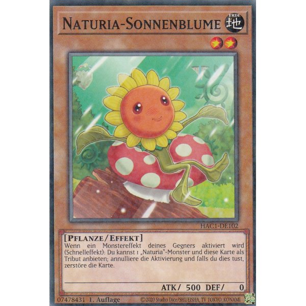 Naturia-Sonnenblume HAC1-DE102
