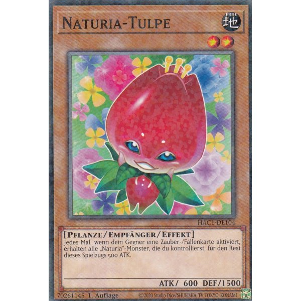 Naturia-Tulpe HAC1-DE104