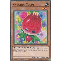 Naturia-Tulpe HAC1-DE104