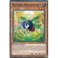 Naturia-Fruchtfliege HAC1-DE106