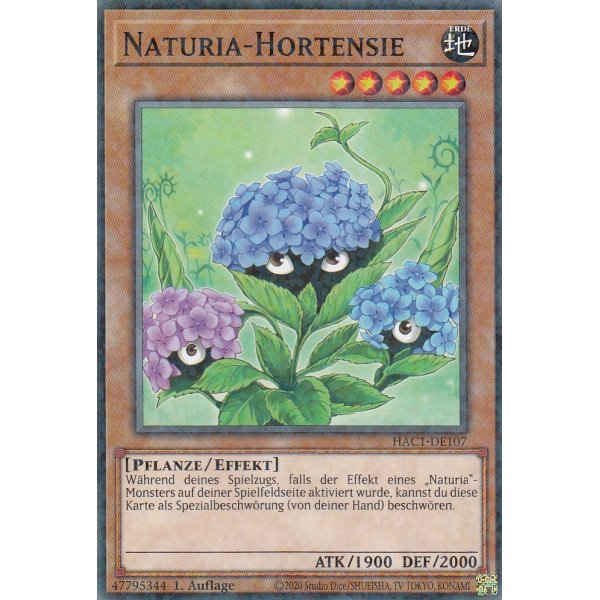 Naturia-Hortensie HAC1-DE107
