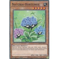Naturia-Hortensie HAC1-DE107