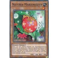 Naturia-Marienkäfer HAC1-DE109