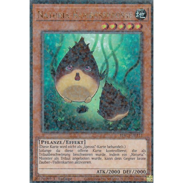 Naturia-Bambussprosse HAC1-DE111