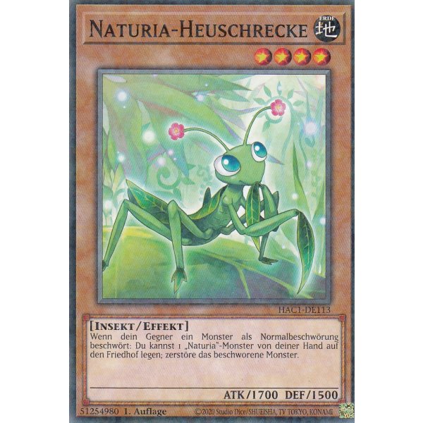 Naturia-Heuschrecke HAC1-DE113