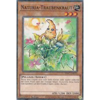 Naturia-Traubenkraut HAC1-DE114
