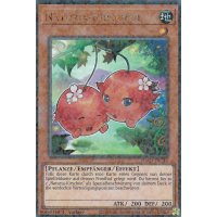 Naturia-Kirschen HAC1-DE116