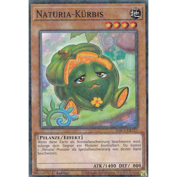 Naturia-K&uuml;rbis HAC1-DE117