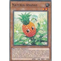Naturia-Ananas HAC1-DE118