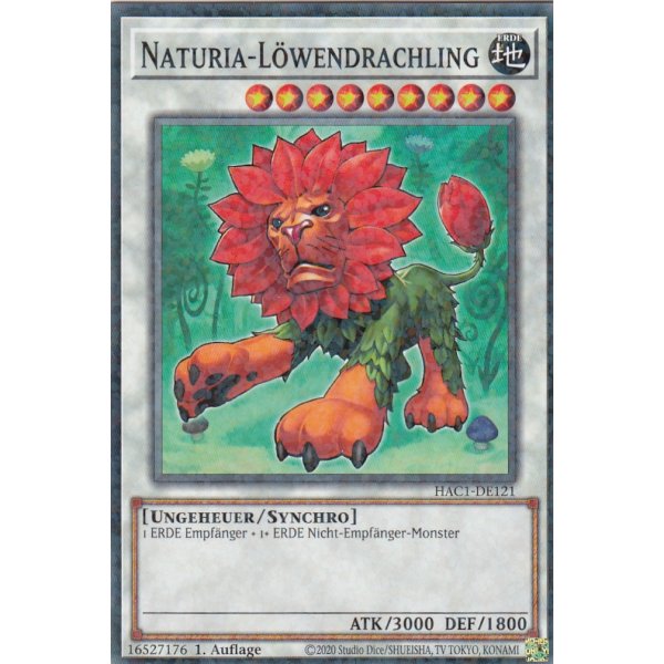 Naturia-L&ouml;wendrachling HAC1-DE121