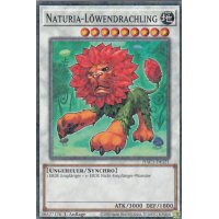 Naturia-Löwendrachling HAC1-DE121