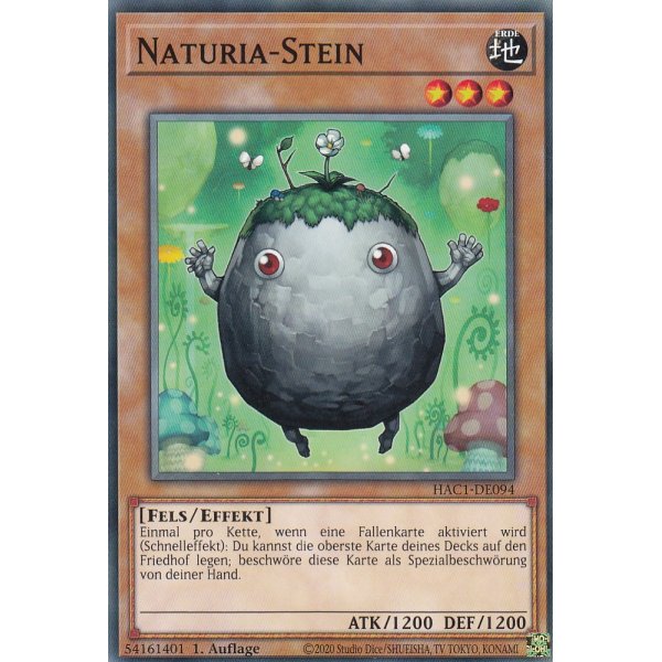 Naturia-Stein HAC1-DE094c
