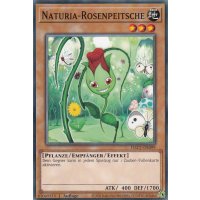 Naturia-Rosenpeitsche