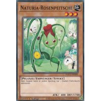 Naturia-Rosenpeitsche HAC1-DE099c