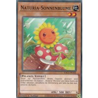 Naturia-Sonnenblume HAC1-DE102c