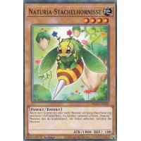 Naturia-Stachelhornisse HAC1-DE105c