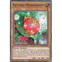 Naturia-Marienk&auml;fer HAC1-DE109c