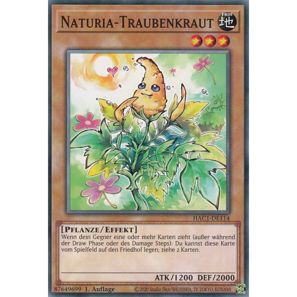Naturia-Traubenkraut HAC1-DE114c