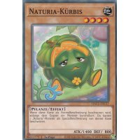 Naturia-Kürbis HAC1-DE117c