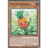 Naturia-Ananas HAC1-DE118c