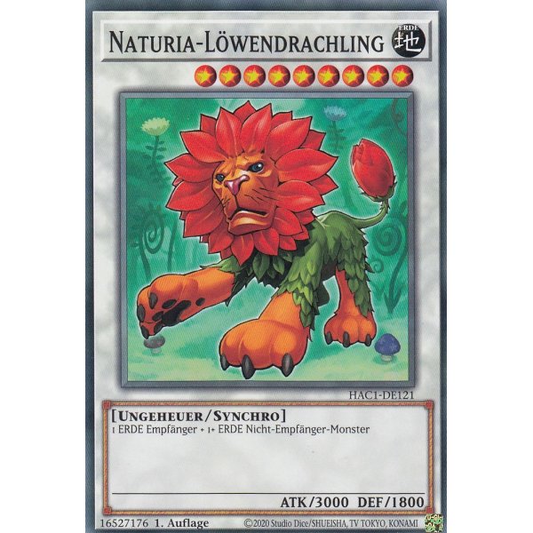 Naturia-L&ouml;wendrachling HAC1-DE121c