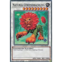 Naturia-L&ouml;wendrachling HAC1-DE121c