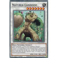 Naturia-Landoise HAC1-DE123c