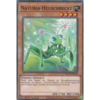 Naturia-Heuschrecke HAC1-DE113c