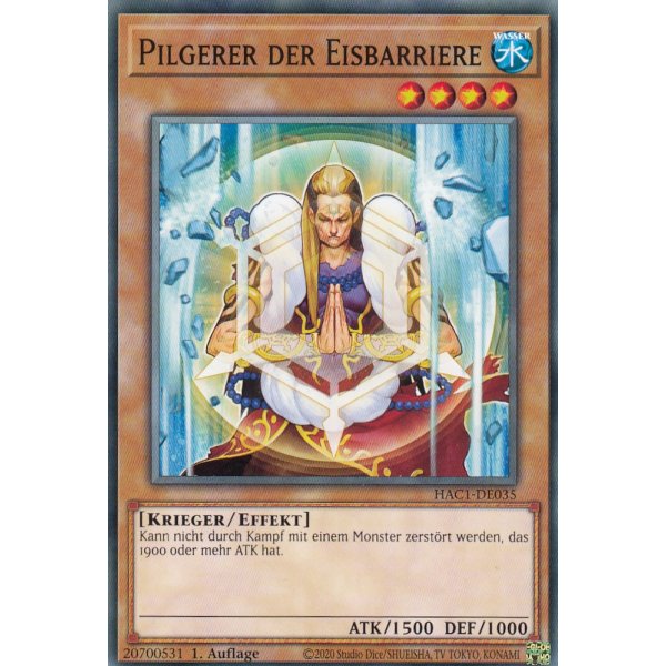 Pilgerer der Eisbarriere HAC1-DE035c