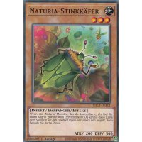 Naturia-Stinkkäfer HAC1-DE112c