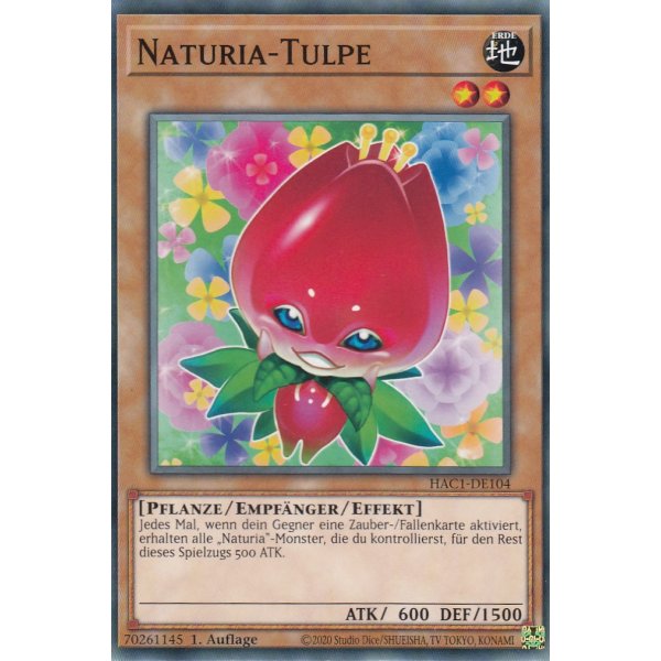 Naturia-Tulpe HAC1-DE104c