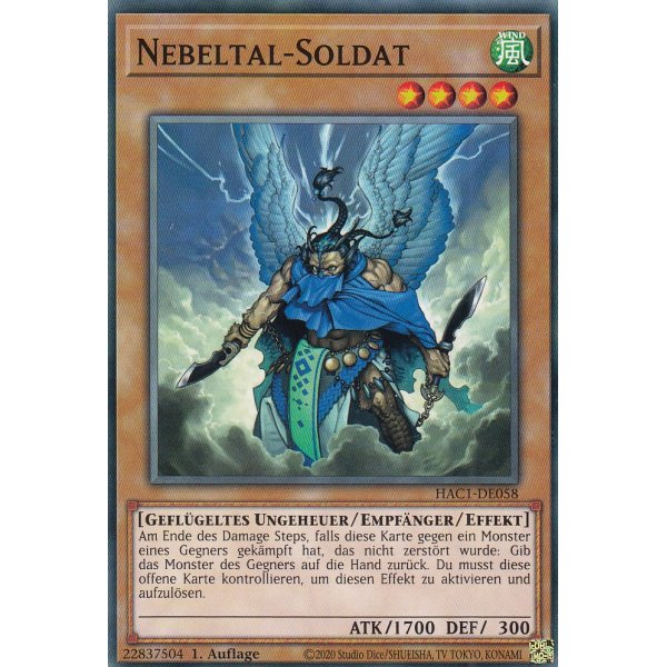 Nebeltal-Soldat HAC1-DE058c