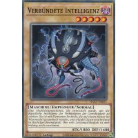 Verb&uuml;ndete Intelligenz HAC1-DE077c