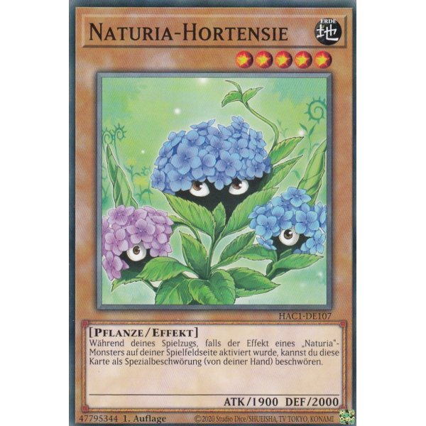 Naturia-Hortensie HAC1-DE107c