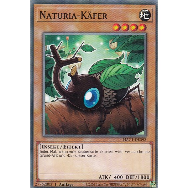 Naturia-K&auml;fer HAC1-DE093c