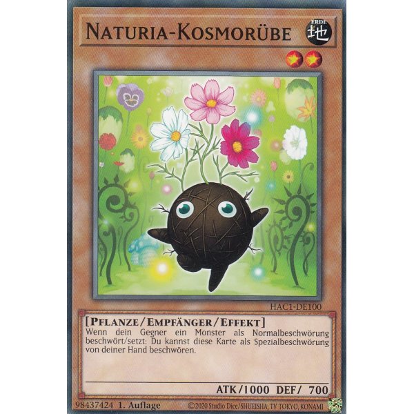 Naturia-Kosmor&uuml;be HAC1-DE100c