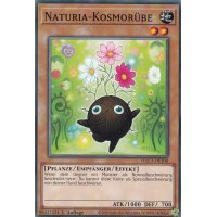 Naturia-Kosmorübe HAC1-DE100c