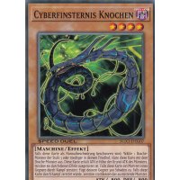 Cyberfinsternis Knochen SGX1-DEG07