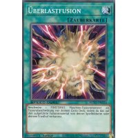 Überlastfusion SGX1-DEG14