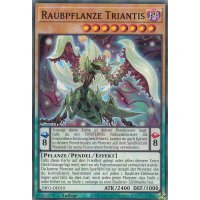 Raubpflanze Triantis DIFO-DE019