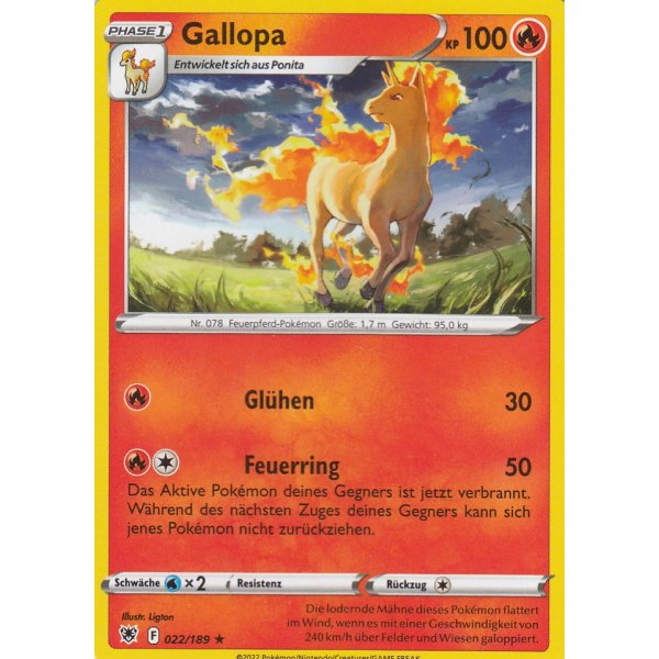 Gallopa 022/189
