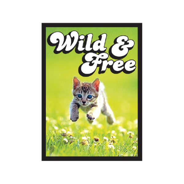 Legion Small Gloss Sleeves - Kitten (60 H&uuml;llen)