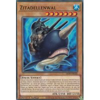 Zitadellenwal LED9-DE026